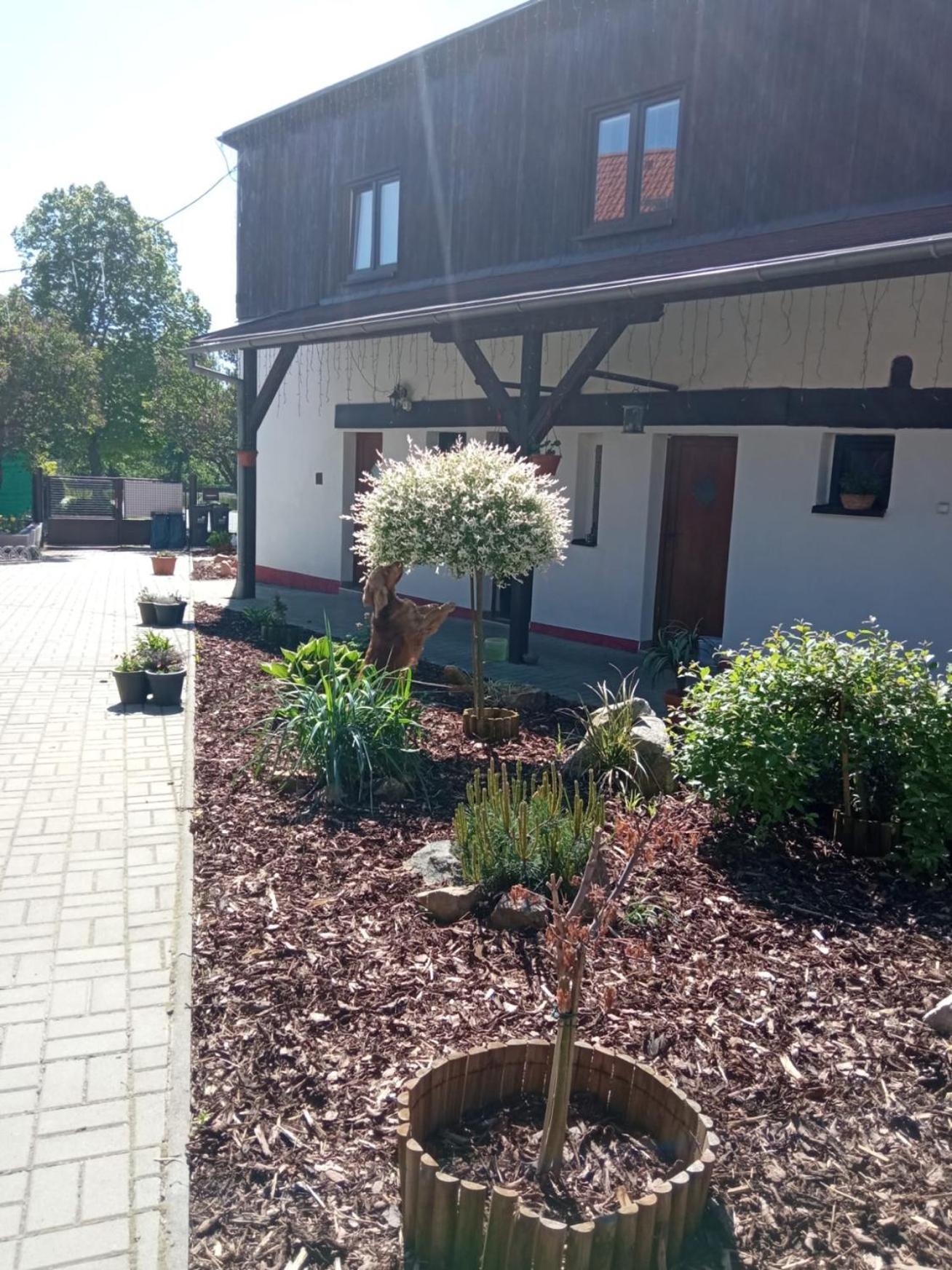 Penzion Dagmar Kokasice Extérieur photo